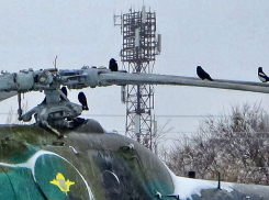 В Камышине ближе к Новому году начинает слегка подмораживать: погодная повестка на 27 декабря