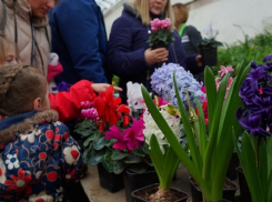 Камышан приглашают на бал первоцветов в ботаническом саду в Волжском