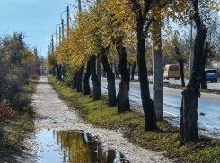 Власти, не забудьте осушить вечную лужу на Текстильной! - камышанин