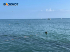 «Несостоявшийся» отпускник: в Волгоградской области мошенники провели мужчину с бронированием отеля