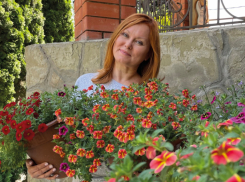 Простой способ сохранить петунии, калибрахоа и другие цветы до весны  