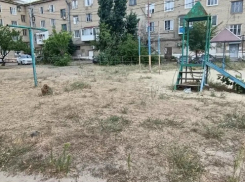 «А где деньги на реновацию детской площадки? В небо улетели?» - камышанка