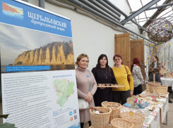 Сотрудники природного парка из Камышинского района поехали на выставку первоцветов - полюбоваться и по делу