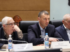 Что рассказал сайт Общественной палаты Волгоградской области о комплексном развитии территорий, и дойдет ли в этом смысле очередь до Камышина?