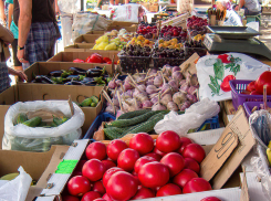 Где в Волгоградской области скоро пройдет Луковый фестиваль