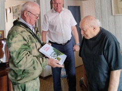 Спикер Камышинской городской думы Владимир Пономарев «отчитался», как он поздравлял Почетного гражданина города Николая Алимова