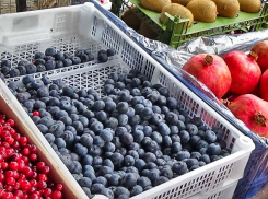 Камышанам предлагают угоститься свежей голубикой по цене от двух с половиной тысяч рублей за килограмм