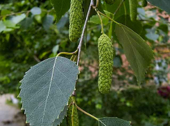 Кто он - 21-й умерший в Волгоградской области от коронавируса?