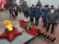 Красные гвоздики у Вечного огня: в Камышине на Братских захоронениях идет возложение цветов в день Сталинградской победы