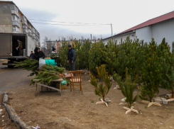 В Камышине энергетики предупредили об отключениях света сегодня, 26 декабря