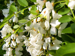 Синоптики сообщили, что столбики термометров 24 мая перешагнут отметку в 30 градусов в Камышине