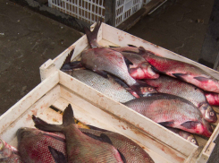 В июне пятеро жителей Волгоградской области заразились смертельно опасным ботулизмом