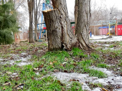 Снежно-дождевые тучи приближаются к Камышину при температуре около нуля (ВИДЕО)