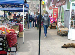 Волгоградский политолог раскритиковал псевдозоозащитное лобби