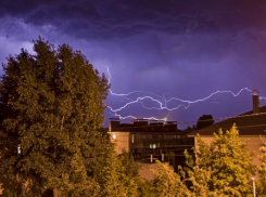 Пронёсся, как смерч: в Камышинском районе устранили последствия вчерашнего урагана