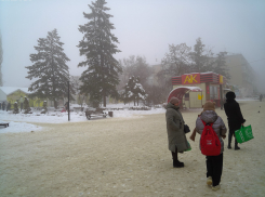 В Камышинском районе 4 февраля школьников отправят на дистант из-за холодов