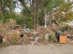 Третью неделю растут «баррикады» из мусора - уже пройти невозможно! - камышанка