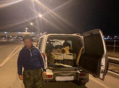 Браконьер попался оперативникам с электроудочкой и полным багажником рыбы