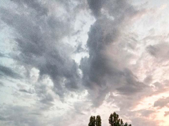 Гроб в стразах за полмиллиона: волгоградский телеграм-канал рассказал о «похоронах года»