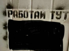 Камышане требуют от властей города убрать «черную рожу» на Пролетарской и кое-что еще на стенах домов