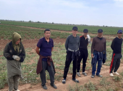 В Волгоградской области прошли широкомасштабные мероприятия по выявлению и постановке на воинский учет бывших мигрантов