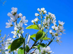 Камышин накроет полоса дождя