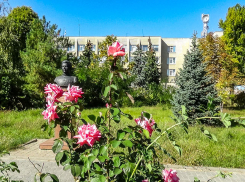 Администрация Станислава Зинченко вновь не сводит концы с концами и берет в кредит 80 миллионов