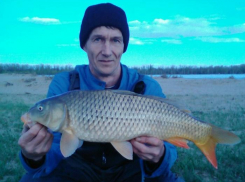 «До берега ему оставалось три метра»: под Волгоградом дайвер достал тело утонувшего рыбака, - портал V1.RU