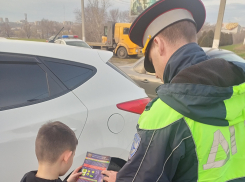 Как в Камышине сотрудники Госавтоинспекции популяризировали фликеры