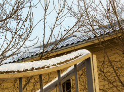 Мороз 27 января в Камышине оказался даже крепче, чем прогнозировался,  но теперь он пойдет на спад