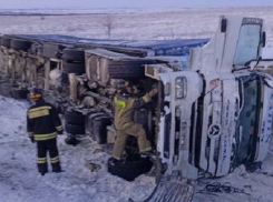 В Камышинском районе водитель-турок не удержал фуру на трассе, она опрокинулась