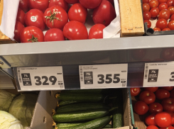 Салат со свежими огурцами становится роскошью для камышан