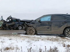 Полиция подтвердила, что в страшном ДТП со смертями, виновником которого называют главврача Камышинской ЦГБ, на «встречку» вылетел «Лексус»