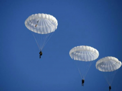 Камышан приглашают на праздник с куполами парашютов в небе