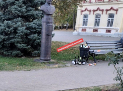 Камышане не могут взять в толк, почему службы благоустройства не в состоянии вовремя вытряхивать урны на главных прогулочных зонах города