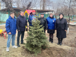 Жители Волгоградкой области назвали замаливанием грехов акцию единороссов с высадкой елок
