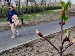 Природный парк «Щербаковский» едет в гости в Камышин: встречи назначены у «ДК «Текстильщик» и в парке Текстильщиков 29 апреля