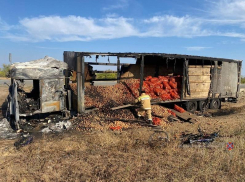 На трассе между Камышином и Волгоградом погибли, врезавшись в фуру, 43-летний водитель и его 40-летняя спутница (ВИДЕО)