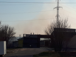 Камышане прислали в редакцию «Блокнота Камышина» снимки ландшафтного пожара в районе дамбы