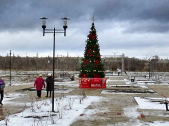 В Камышине на елке в парке Текстильщиков завязали много красных бантов