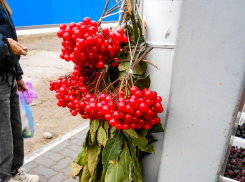 Сегодняшняя, 21 декабря, погода «около нуля» продержится в Камышине еще только три дня перед резким похолоданием до -15-ти