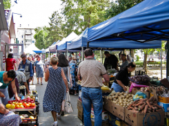 Администрация Камышина напомнила, на сколько могут быть оштрафованы торговцы на несанкционированных рынках