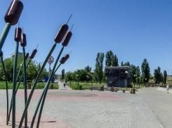 Опасную ночь пережили камышане