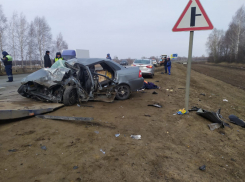 Трое жителей Волгоградской области погибли сегодня, 31 марта, в жутком ДТП под Тамбовом