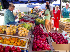 В Камышине административная газета «Диалог» обнаружила «клан оккупантов» на стихийном рынке у «Победы»