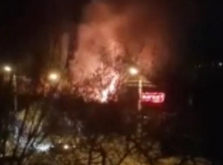 В Камышине на пожаре в Полосе отчуждения тела несчастных обгорели так, что пол погибших пока установить невозможно