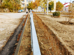 В Камышине в «затормозившей» перед сдачей зоне комфортной городской среды высадили кустарник