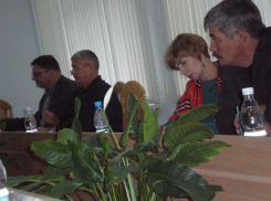 Два депутата Камышинской городской думы ни с того, ни  с сего проголосовали за прямые выборы мэра Камышина