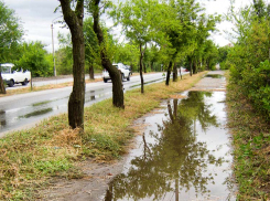 На Волгоградскую область идет штормовой ветер с ливнями и грозами