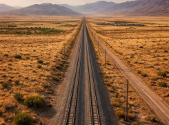 Грандиозное строительство через Волгоградскую область транспортного коридора до порта Мумбаи в Индии обсуждал губернатор Бочаров сегодня, 24 февраля